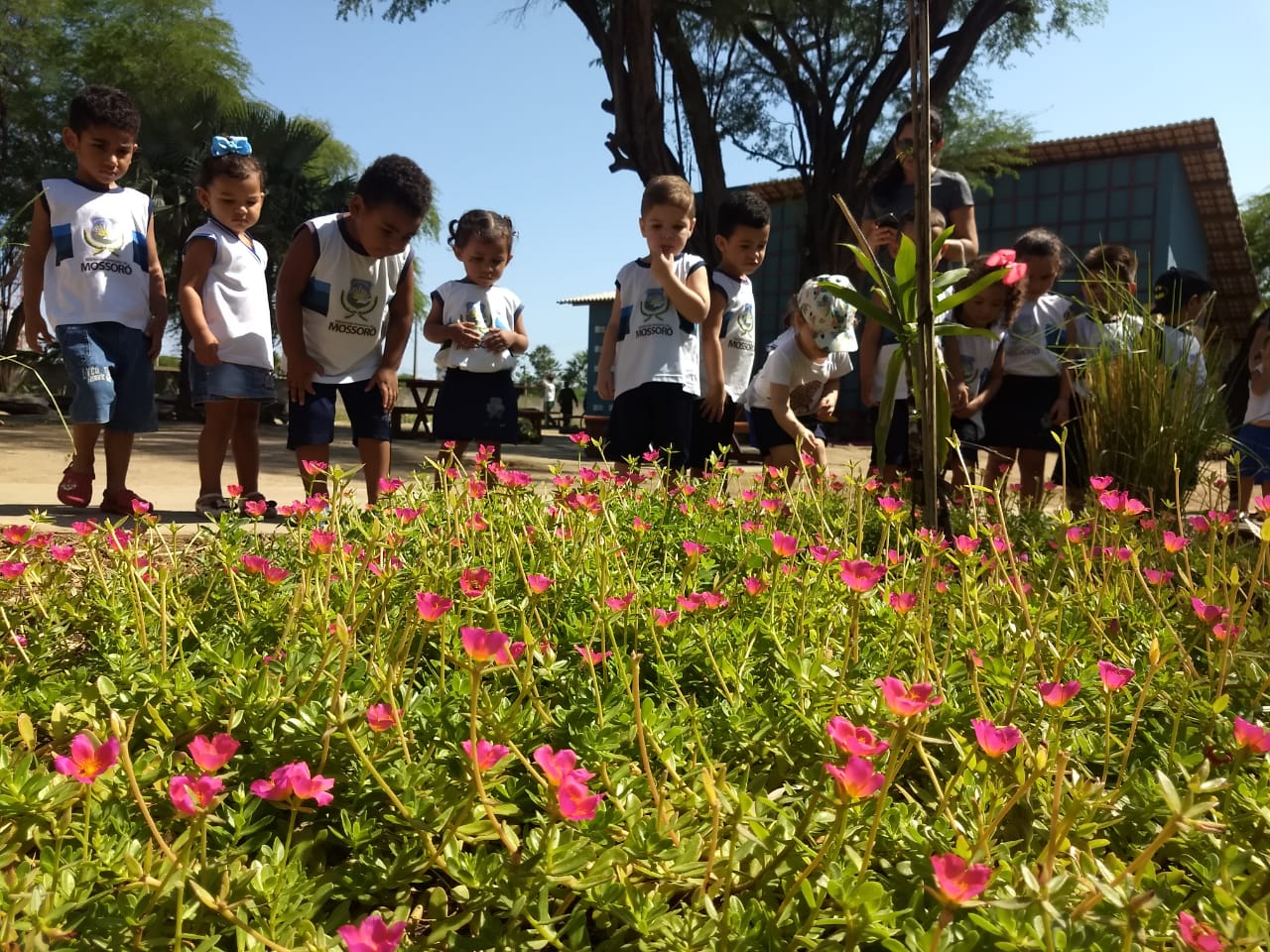 Crianças fazem trilha no Parque Municipal