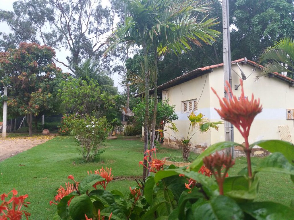 Lançamento da CF 2017 marca reabertura do Horto Florestal