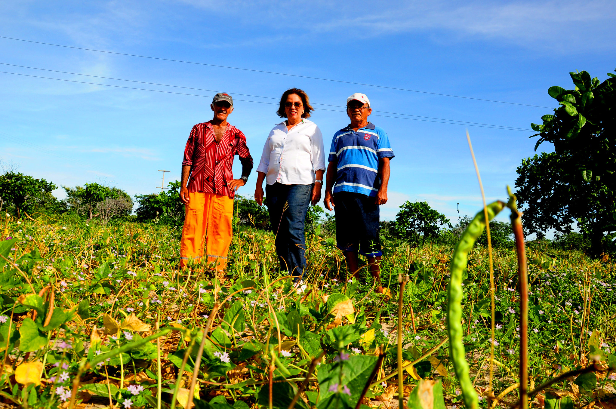 Agricultores familiares já se beneficiam com primeiras colheitas