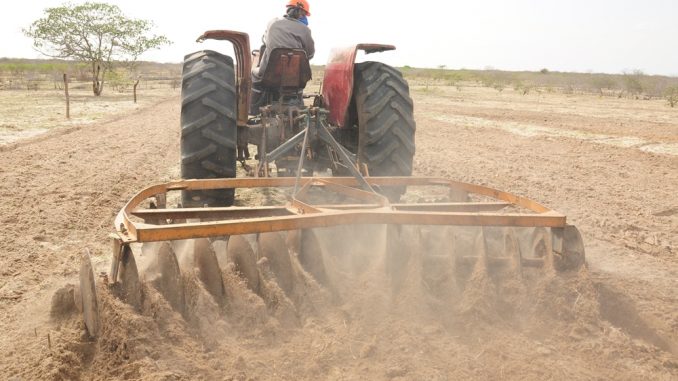 Lançamento de Projeto Semear será dia 31, às 8h, no Parque Armando Buá