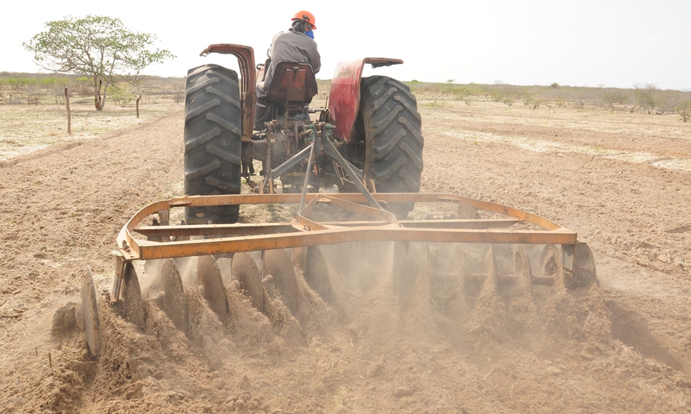 Semear vai distribuir 22 litros de óleo por agricultor