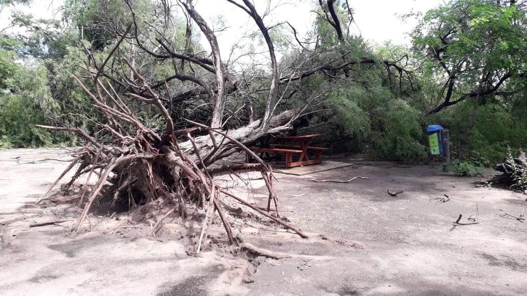 Para prevenir acidentes após as chuvas, Prefeitura fecha Parque Municipal por três dias