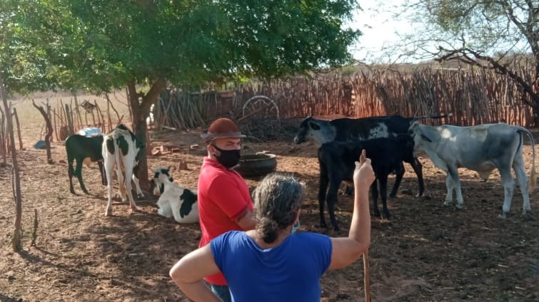 Secretaria de Agricultura apresenta ações realizadas em janeiro