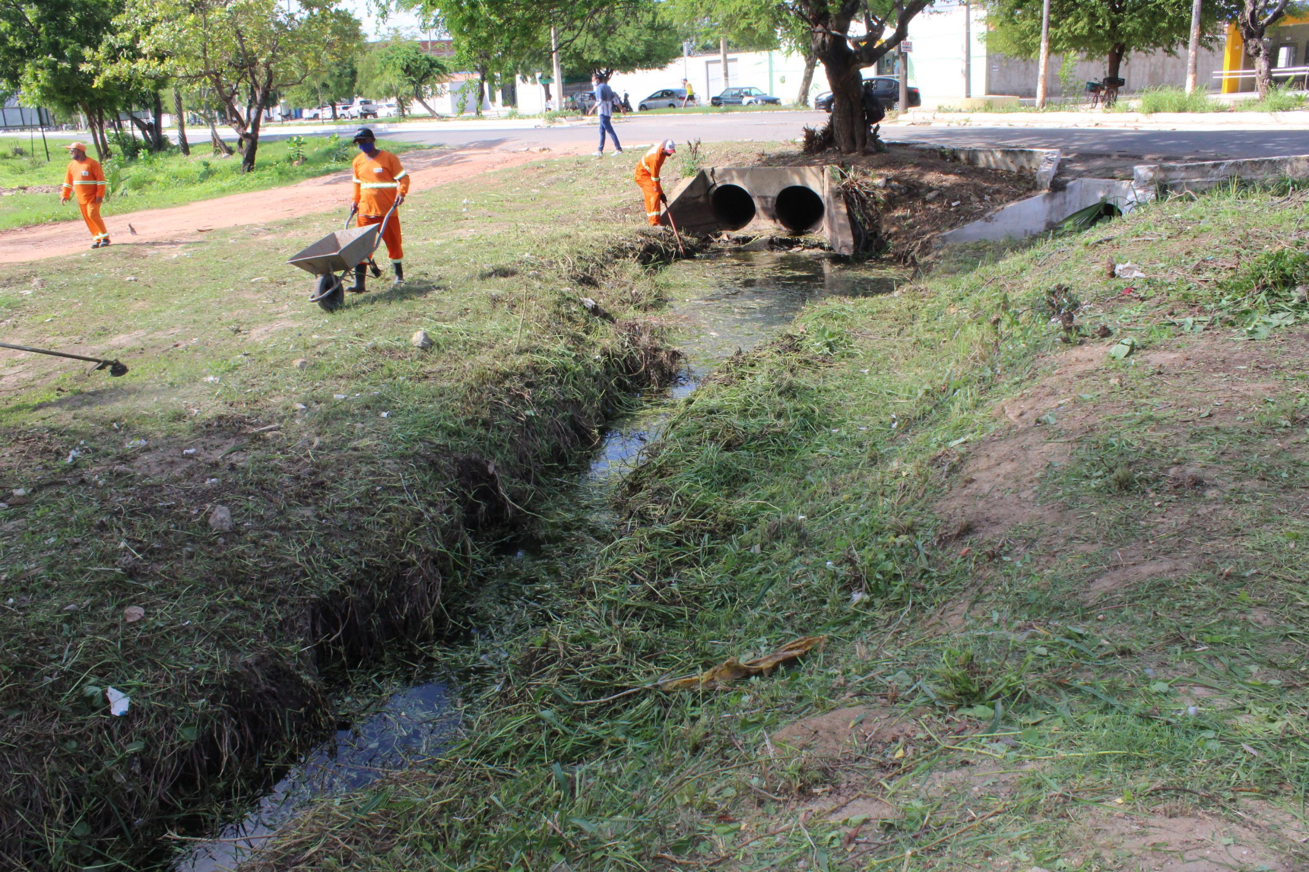 Infraestrutura executa serviços de limpeza nas imediações da Avenida Abel Coelho