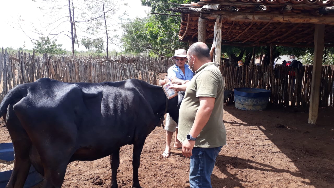 Comunidade rural de Cabelo de Nego recebe assistência veterinária